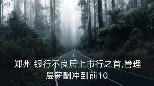  鄭州 銀行不良居上市行之首,管理層薪酬沖到前10