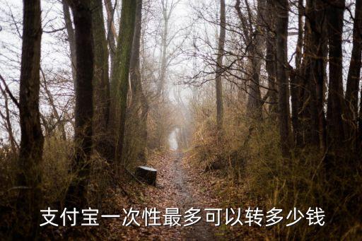 支付寶每月免費轉(zhuǎn)賬限額多少錢,企業(yè)支付寶每月轉(zhuǎn)賬限額