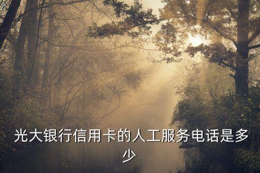 武漢光大銀行業(yè)務(wù)員電話號碼多少,光大銀行電話號碼是多少號