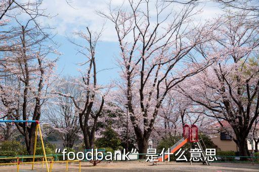 糧食銀行加盟費(fèi)是多少,糧食很忙加盟費(fèi)多少