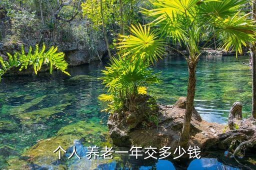 個(gè)人 養(yǎng)老一年交多少錢