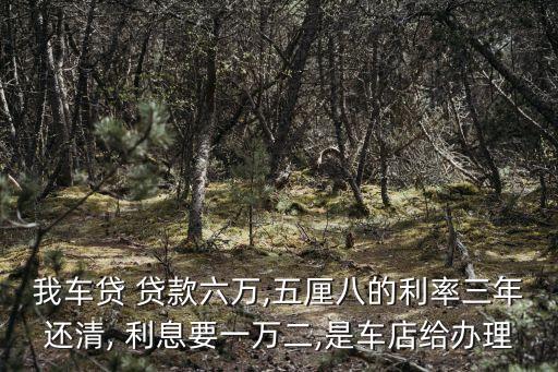 6萬(wàn)貸款3年利息是多少,10萬(wàn)貸款三十年利息