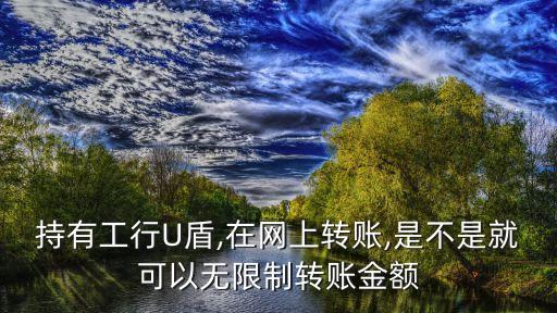 持有工行U盾,在網上轉賬,是不是就可以無限制轉賬金額