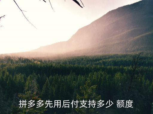 拼多多先用后付支持多少 額度