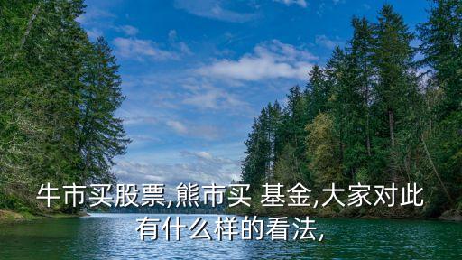 牛市買股票,熊市買 基金,大家對(duì)此有什么樣的看法,