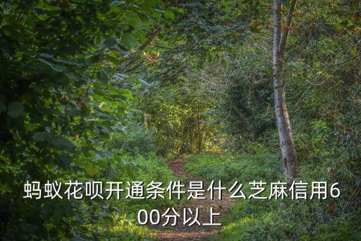 多少信譽(yù)能用螞蟻花唄,螞蟻花唄信譽(yù)分過低怎么開花唄