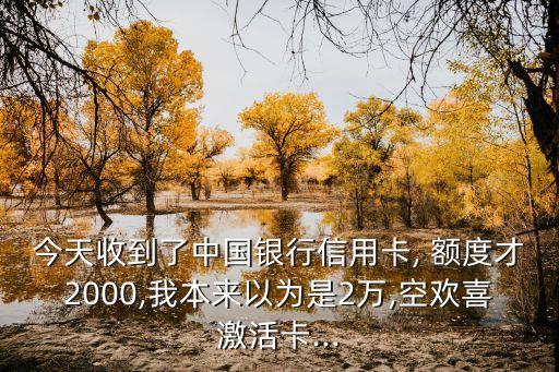 今天收到了中國銀行信用卡, 額度才2000,我本來以為是2萬,空歡喜激活卡...