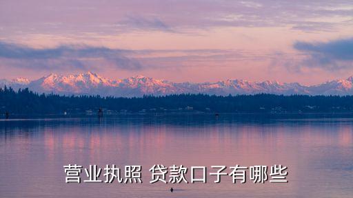營(yíng)業(yè)執(zhí)照 貸款口子有哪些