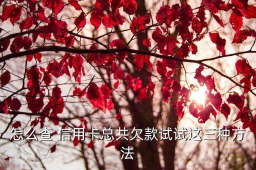 怎么查 信用卡總共欠款試試這三種方法