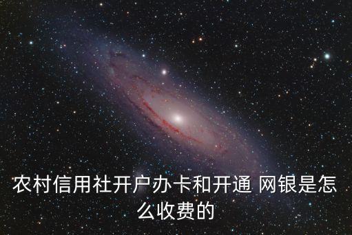 辦理網(wǎng)銀手續(xù)費多少,財務(wù)人員辦理網(wǎng)銀,支付手續(xù)費20