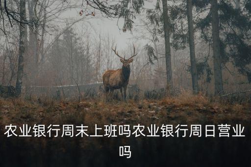 高密農(nóng)行辦公室電話是多少,農(nóng)行總行地址及辦公室電話