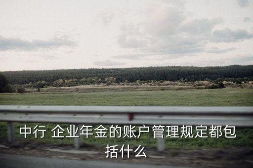 中行企業(yè)年金多少,中行個(gè)人企業(yè)年金查詢(xún)系統(tǒng)