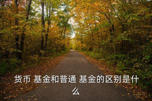 貨幣 基金和普通 基金的區(qū)別是什么