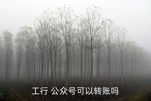 工行 公眾號可以轉(zhuǎn)賬嗎