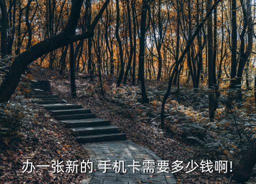 辦手機卡需要多少錢,未滿16歲辦手機卡需要多少錢