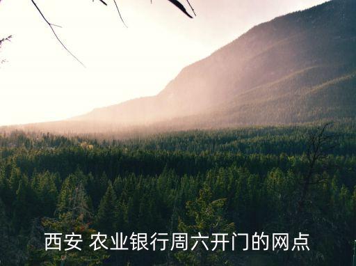 農(nóng)業(yè)銀行市橋支行電話是多少錢