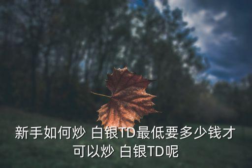 新手如何炒 白銀TD最低要多少錢才可以炒 白銀TD呢