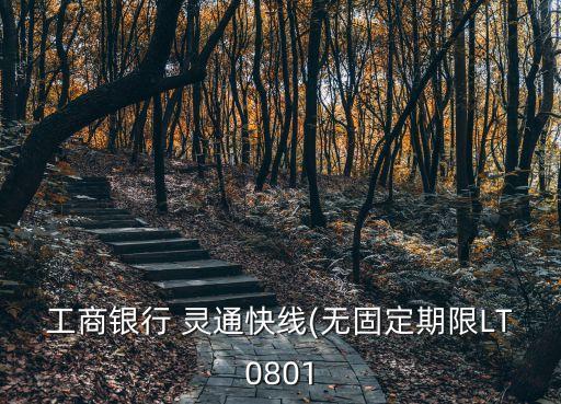 工商銀行 靈通快線(無固定期限LT0801