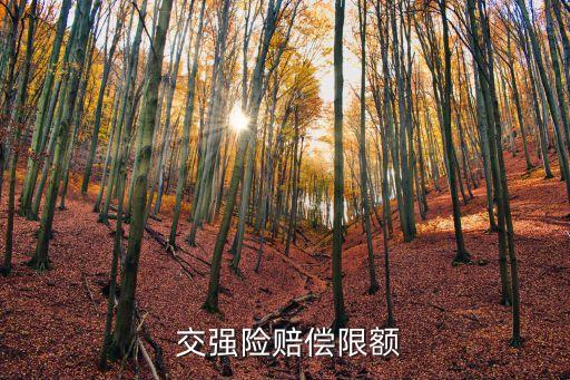 交強(qiáng)險(xiǎn)能理賠多少,交了交強(qiáng)險(xiǎn)能理賠多少