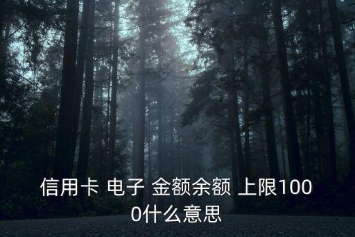 信用卡 電子 金額余額 上限1000什么意思