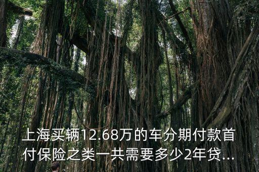 分期買的車去年全險6000今年多少