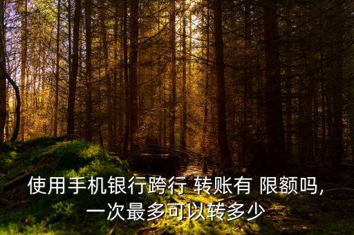 中國銀行最新轉賬限額是多少錢