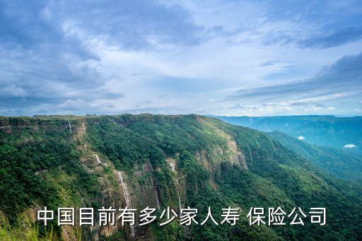 我國有多少家保險公司,中國現(xiàn)在一共多少家保險公司