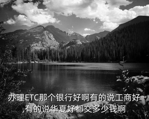 辦理ETC那個銀行好啊有的說工商好,有的說華夏好都交多少錢啊
