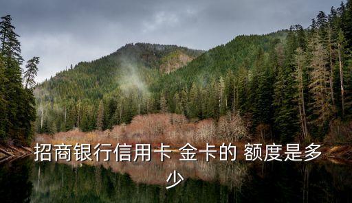 招商普卡金卡額度一般多少錢,招商百夫長(zhǎng)金卡和普卡額度共享
