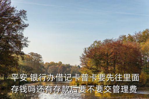 辦平安銀行儲蓄卡需要多少錢,平安銀行辦卡流程