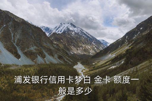 浦發(fā)vip白金卡額度多少,浦發(fā)夢卡經(jīng)典白金卡3000額度