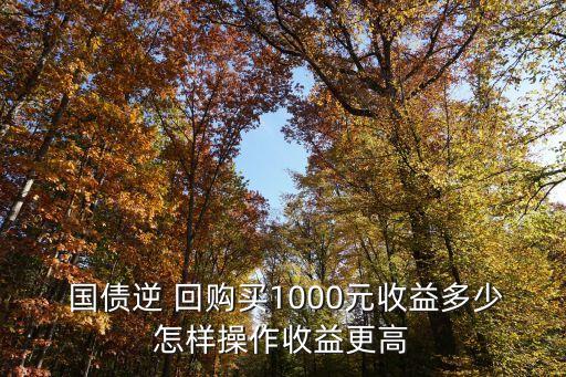  國(guó)債逆 回購(gòu)買1000元收益多少怎樣操作收益更高
