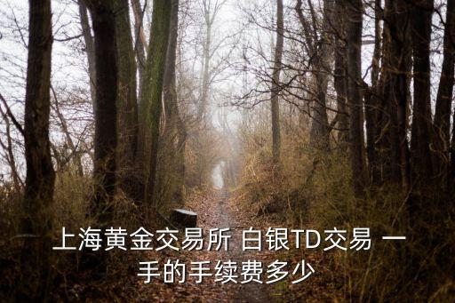 上海期貨 白銀一手 多少克,白銀期貨一手是多少