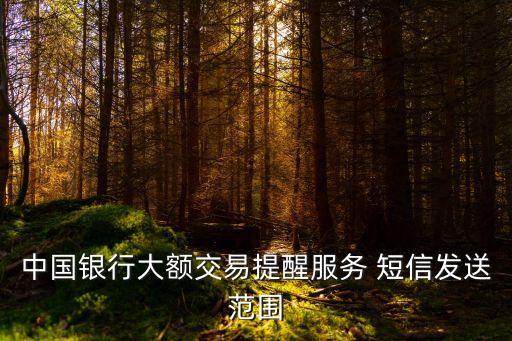 中行審批多少有短信,中行提前還款審批通知短信