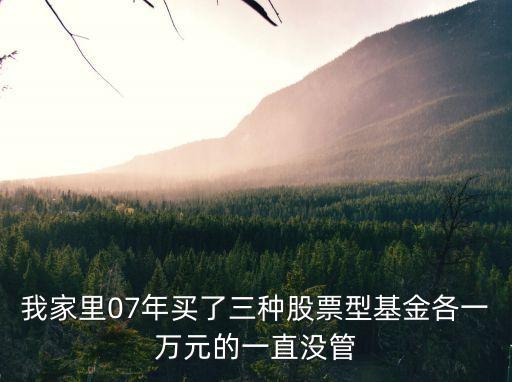 我家里07年買了三種股票型基金各一萬(wàn)元的一直沒管
