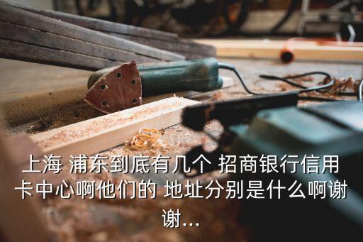 上海 浦東到底有幾個(gè) 招商銀行信用卡中心啊他們的 地址分別是什么啊謝謝...