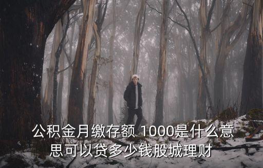  公積金月繳存額 1000是什么意思可以貸多少錢股城理財