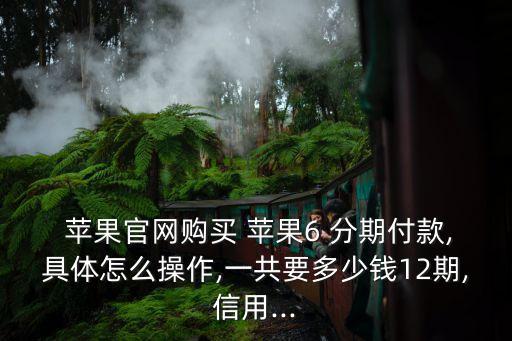 蘋果6分期付款每月支付多少,蘋果分期付款第一期多少錢