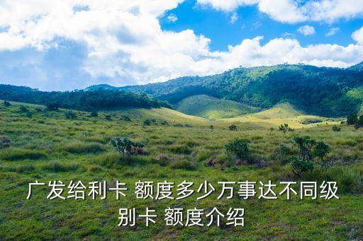 廣發(fā)二卡額度多少錢,廣發(fā)信用卡第二張卡額度