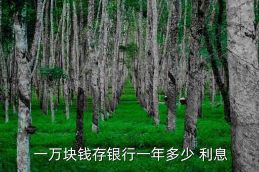  一萬塊錢存銀行一年多少 利息