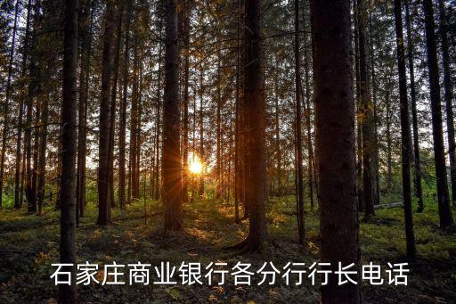 石家莊廣安支行電話號碼是多少,中國農(nóng)業(yè)銀行廣安支行電話號碼