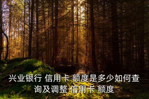 興業(yè)銀行 信用卡 額度是多少如何查詢及調(diào)整 信用卡 額度