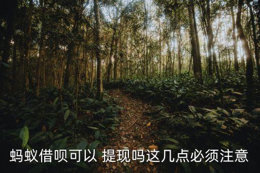 支付寶的借貸可以提現(xiàn)多少