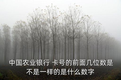 中國農(nóng)業(yè)銀行號卡號多少位,我的中國農(nóng)業(yè)銀行卡號是多少