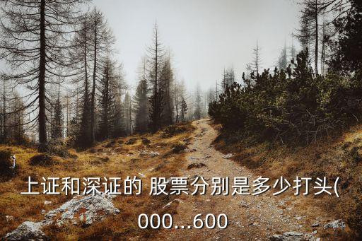 上證和深證的 股票分別是多少打頭( 000...600