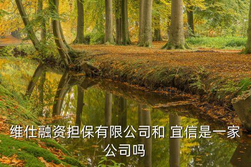 維仕融資擔(dān)保有限公司和 宜信是一家公司嗎