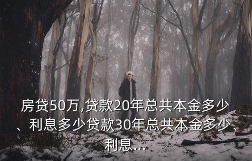 房貸50萬(wàn),貸款20年總共本金多少、利息多少貸款30年總共本金多少、利息...