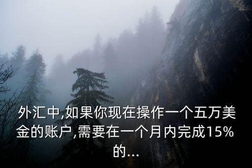 外匯每月穩(wěn)定盈利多少,外匯穩(wěn)定盈利其實(shí)很簡(jiǎn)單