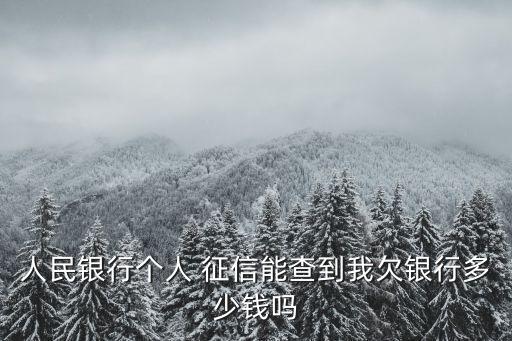 征信天數(shù)是多少錢,征信貸款可以貸多少錢