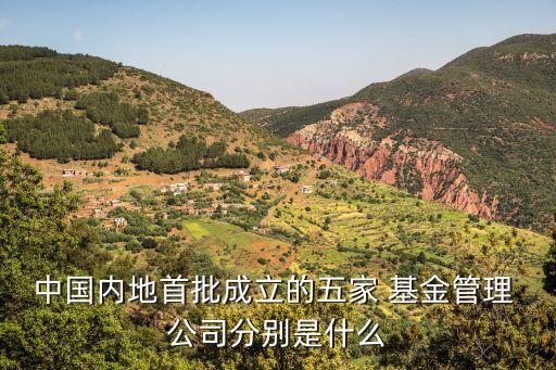 中國內(nèi)地首批成立的五家 基金管理 公司分別是什么